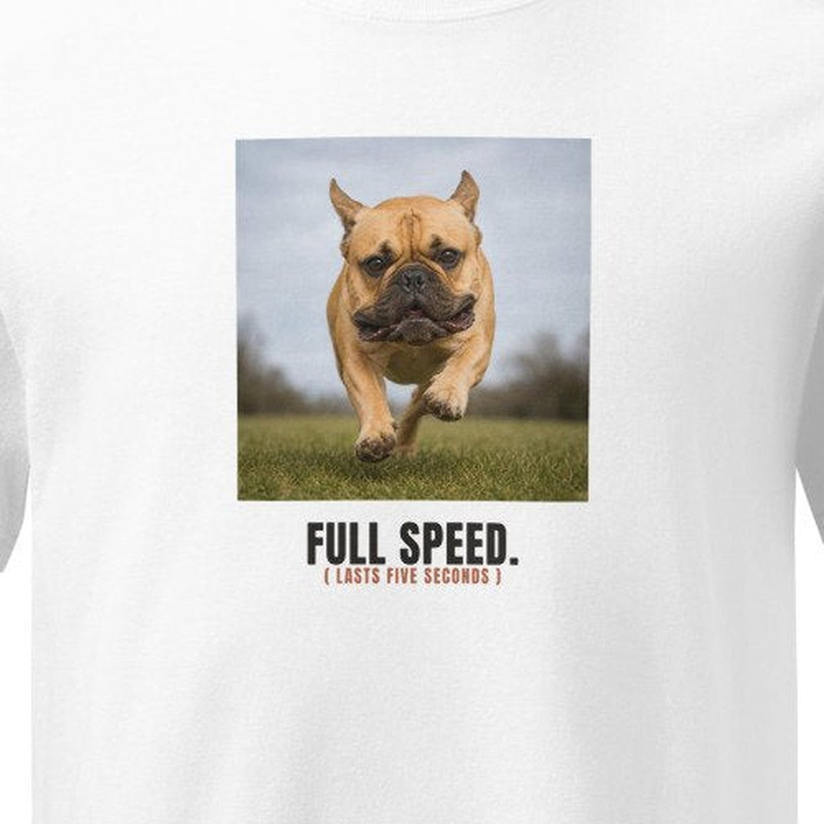 FULL SPEED（5秒だけ全力） プリント部分アップ